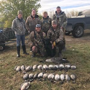 Meet your Posher, Brody